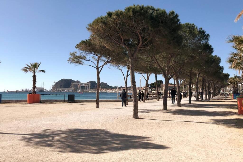 Blue Summer Vibes Mini Studio For Two, Ac, Parking, Beach At 50M, Spa Access -2 ラシオタ エクステリア 写真